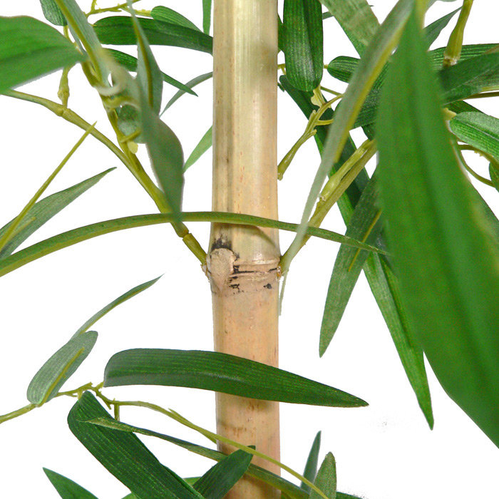 Bloomsbury Market 96" Tall Silk Bamboo Tree in Planter & Reviews Wayfair